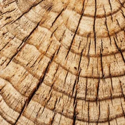 Indoor/Outdoor Faux Concrete Stump Accent Table Brown - Threshold™ Designed With Studio McGee 11 Indoor/Outdoor Faux Concrete Stump Accent Table Brown - Threshold™ Designed With Studio McGee -Furniture Sales Store GUEST 03deabfd 2b62 4725 94b4 09a321ea8678