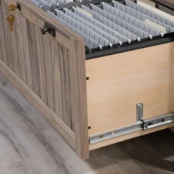 2 Drawer Costa Lateral File Cabinet Walnut - Sauder 12 2 Drawer Costa Lateral File Cabinet Walnut - Sauder -Furniture Sales Store GUEST 968fdcd9 d9f8 486f 80b3 7872b42a7451