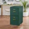 Dixie 2 Drawer Cabinet Green - Buylateral 1 Dixie 2 Drawer Cabinet Green - Buylateral -Furniture Sales Store GUEST cffd6f1a 3821 433e a721 80becbab625e
